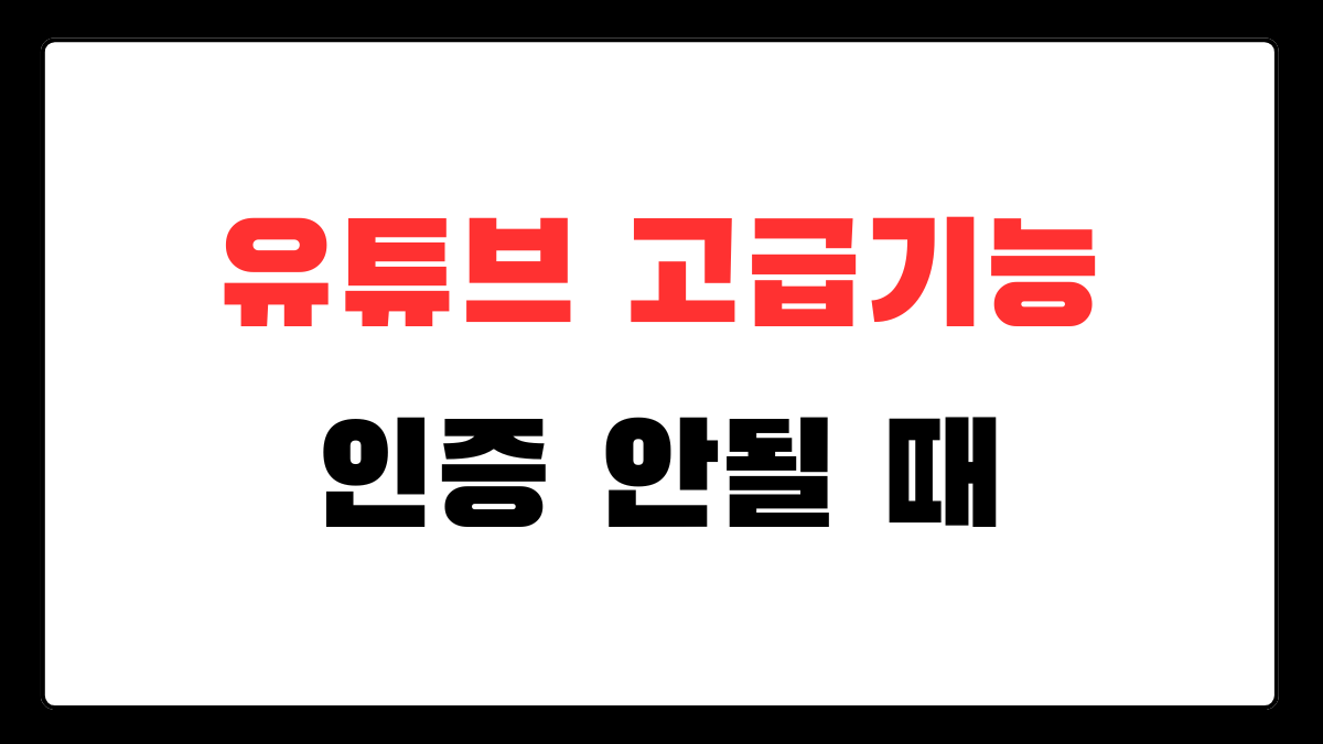 유튜브 고급 기능 신분증 인증이 안 될 때 확인할 항목을 정리한 이미지